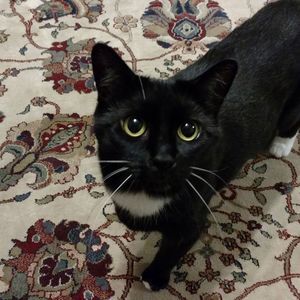 Meet your Posher, Kathy